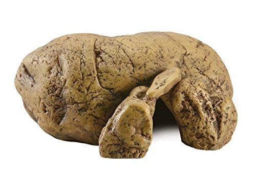 Exo Terra Reptile Cave Small