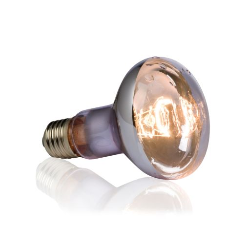 Exo Terra Swamp Glo Basking Spot Bulb  75W