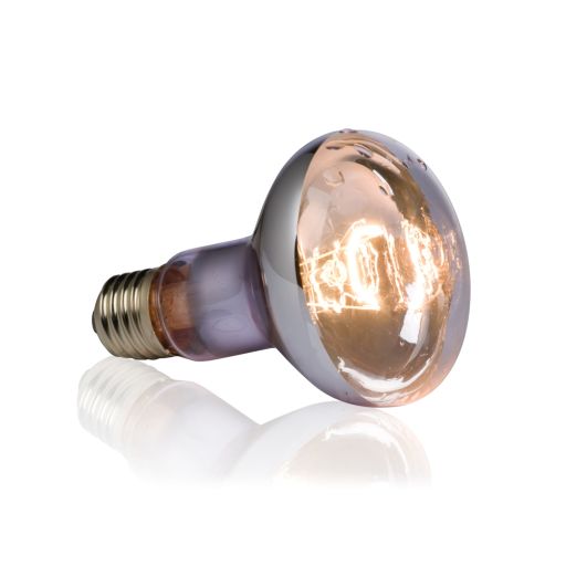 Exo Terra Swamp Basking Spot Lamp
