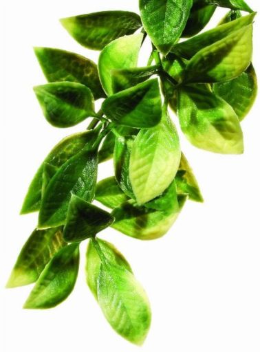 Exo Terra Plastic Terrarium Plant  Small  Mandarin