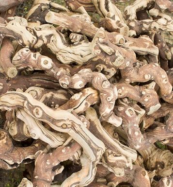 Grape wood Small