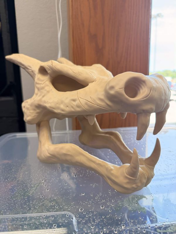 Dragon Skull Hide