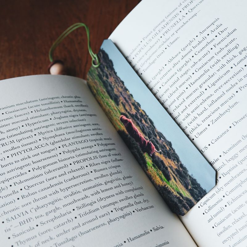 Cow handmade bookmark