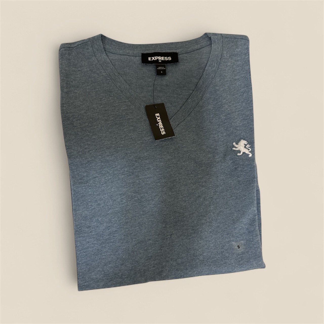 EXPRESS V-NECK T-SHIRT