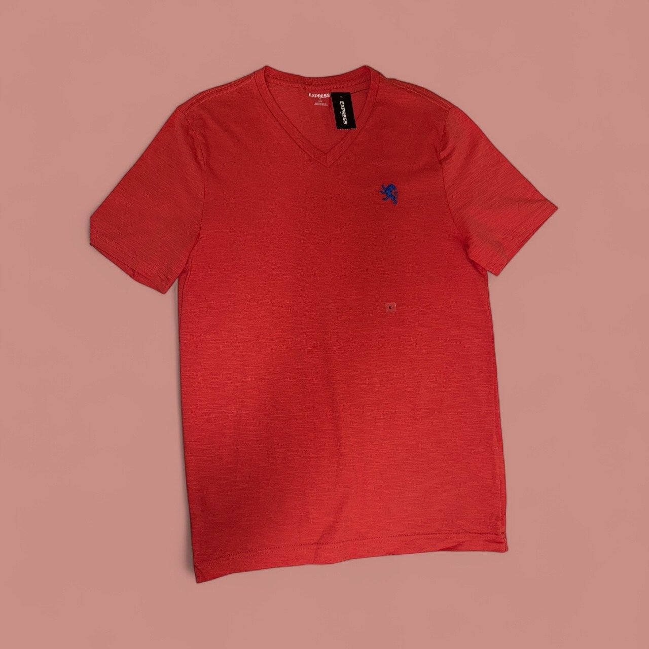 OLD LOGO EXPRESS V-NECK TEES