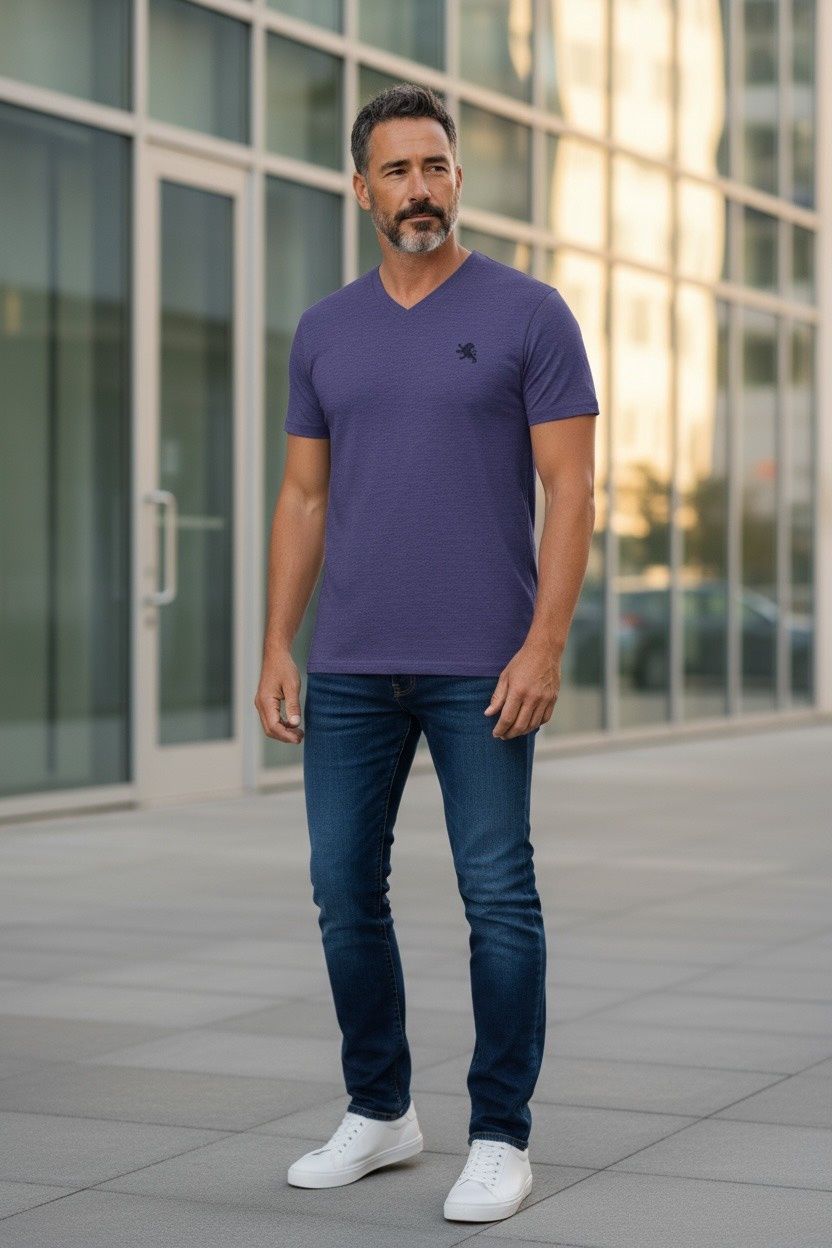 OLD LOGO EXPRESS V-NECK TEES