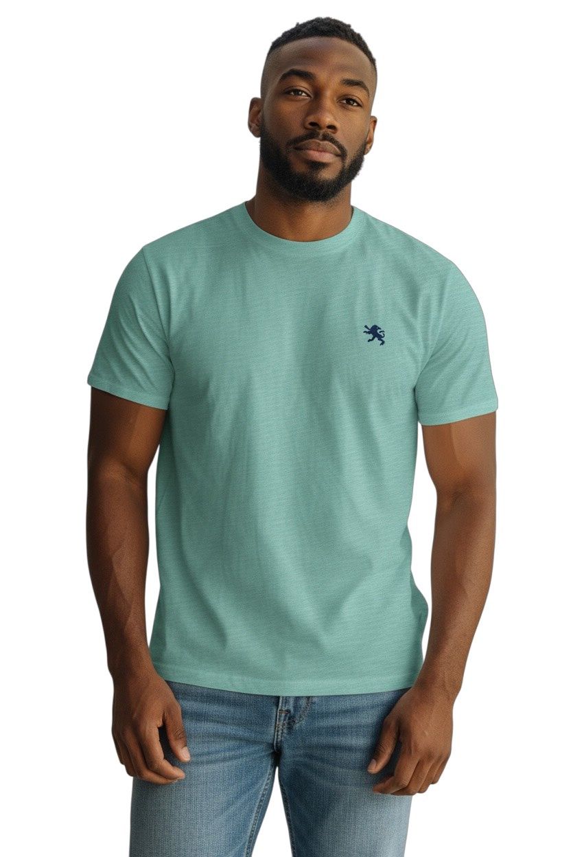 OLD LOGO EXPRESS V-NECK TEES