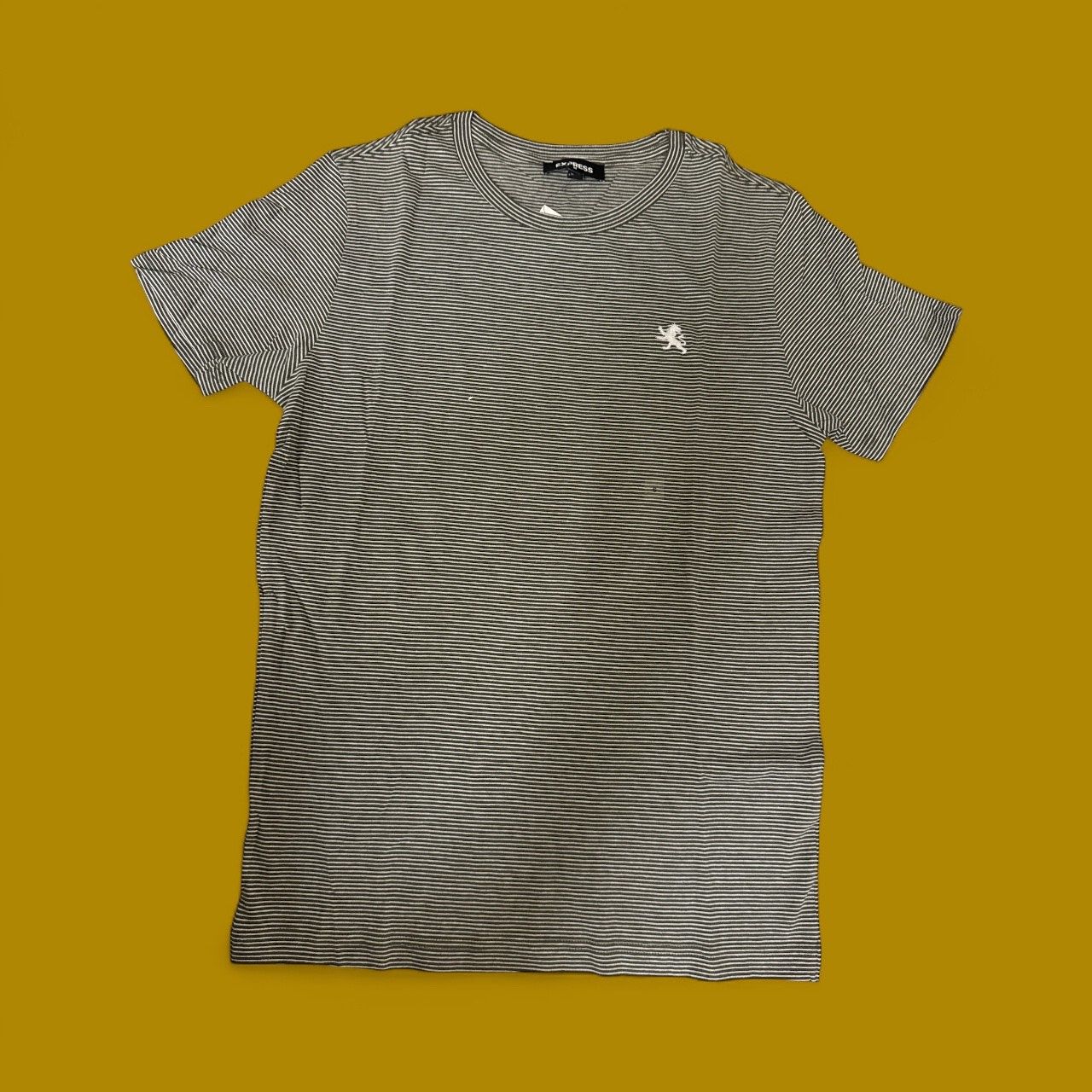 EXPRESS STRIPES TEES