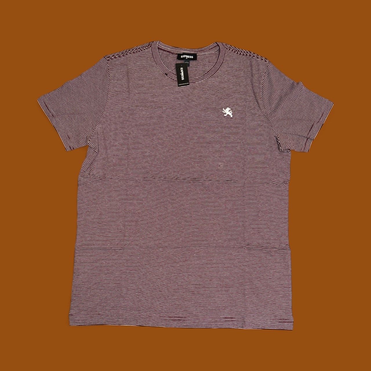 EXPRESS STRIPES TEES