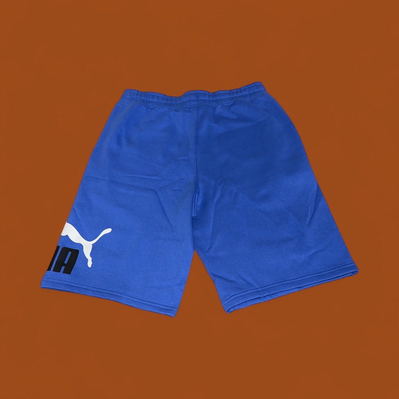 PUMA FLEECE MEN'S SHORTS