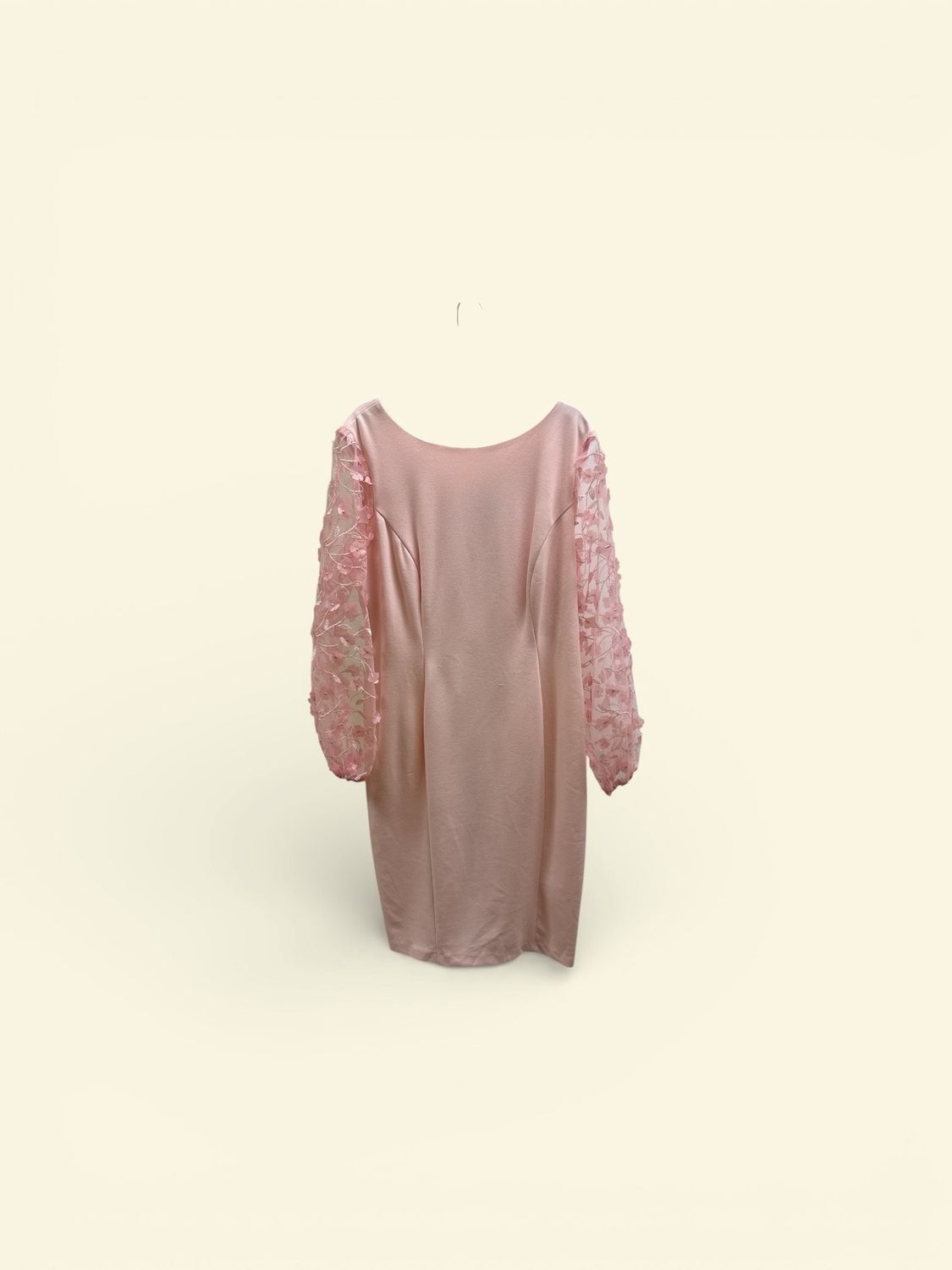 CONNECTED PETITE SHEER-SLEEVE APPLIQUE STEATH DRESS