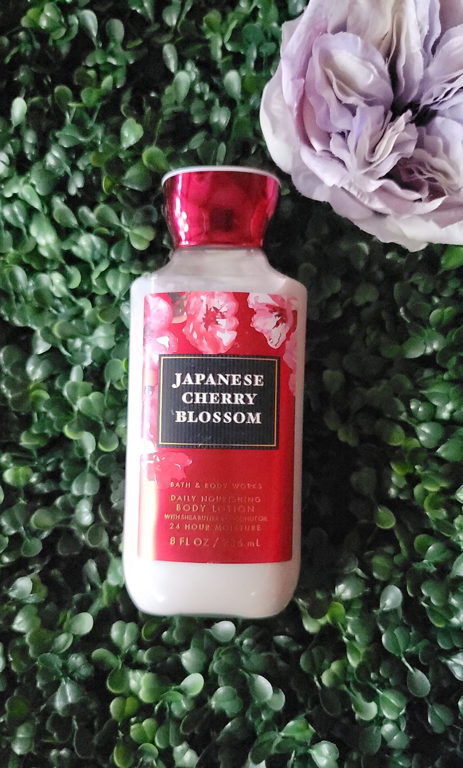 Japanese cherry blossom