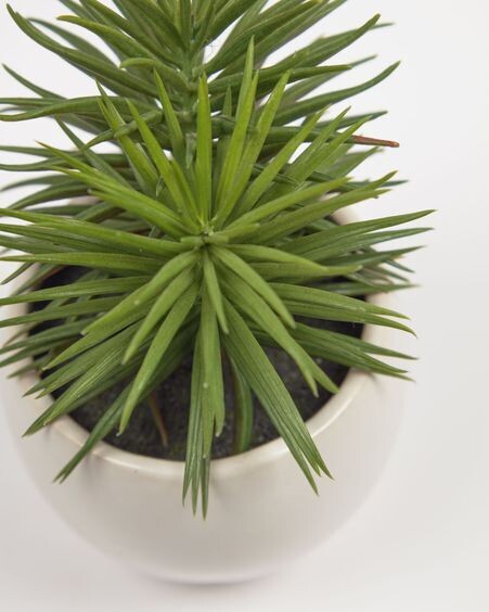 Planta artificial Pino con maceta de cerámica blanco 16 cm