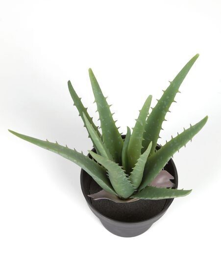 Planta artificial Aloe Vera con maceta negro 36 cm
