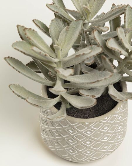 Planta artificial Kalanchoe tomentosa con maceta de cemento blanco y gris 23 cm