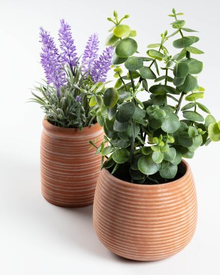 Planta artificial Eucalipto con maceta de cerámico marrón 25 cm