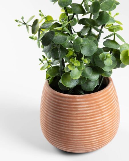 Planta artificial Eucalipto con maceta de cerámico marrón 25 cm
