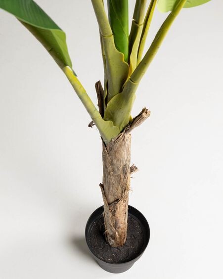 Planta artificial Banano con maceta negro 160 cm