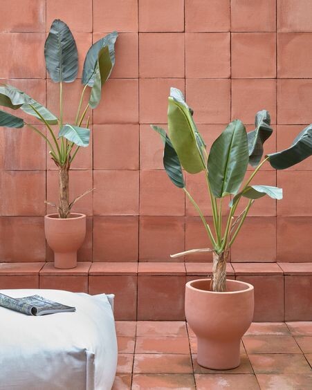 Planta artificial Banano con maceta negro 160 cm