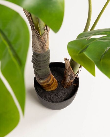 Planta artificial Monstera con maceta de cemento negro 130 cm