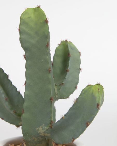 Planta artificial Cactus con maceta blanco 22 cm