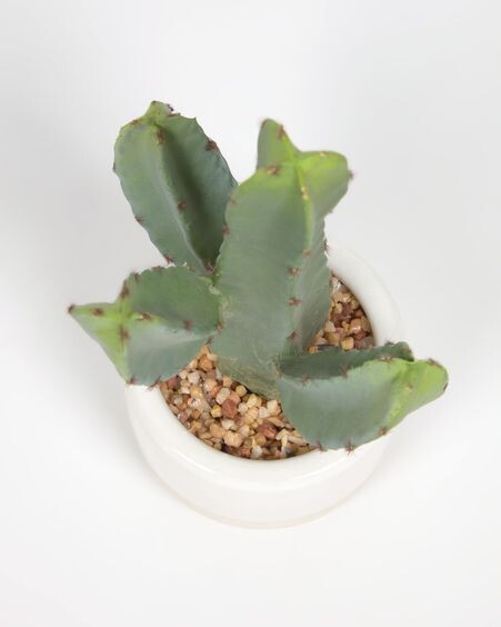 Planta artificial Cactus con maceta blanco 22 cm