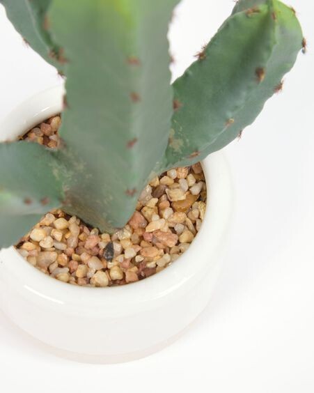 Planta artificial Cactus con maceta blanco 22 cm