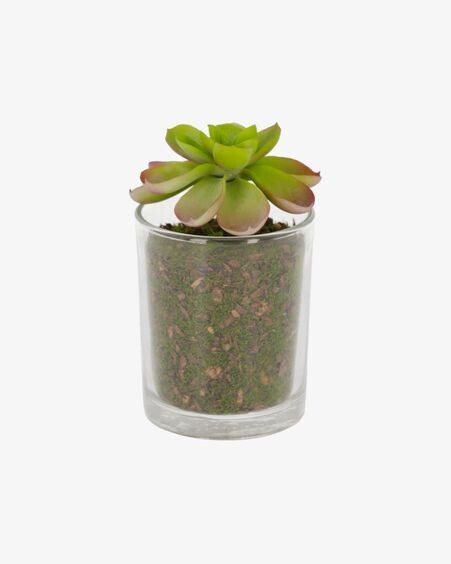 Planta artificial Aeonio con maceta de cristal 11 cm