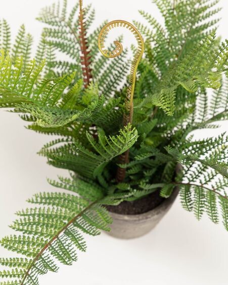 Planta artificial Filicopsida con maceta de cemento 35 cm