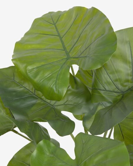 Planta artificial Alocasia Odora con maceta negro 57 cm