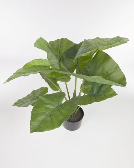 Planta artificial Alocasia Odora con maceta negro 57 cm