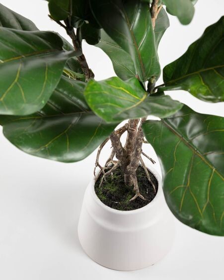 Planta artificial Lyrata con maceta de cerámica blanco 60 cm