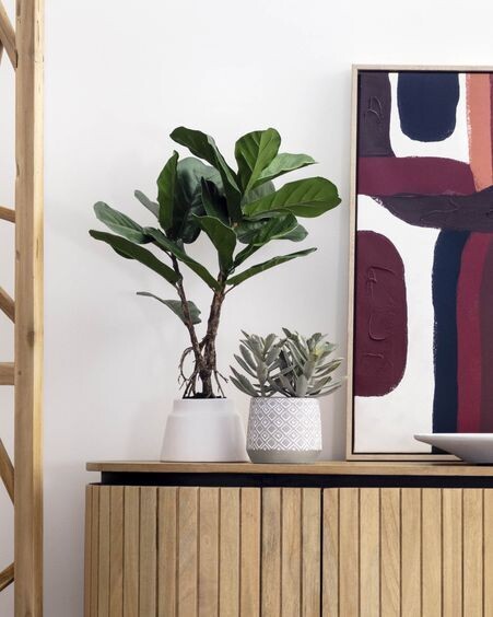 Planta artificial Lyrata con maceta de cerámica blanco 60 cm