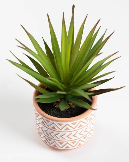 Planta artificial Palmera pequeña con maceta de cerámica marrón y blanco 13 cm