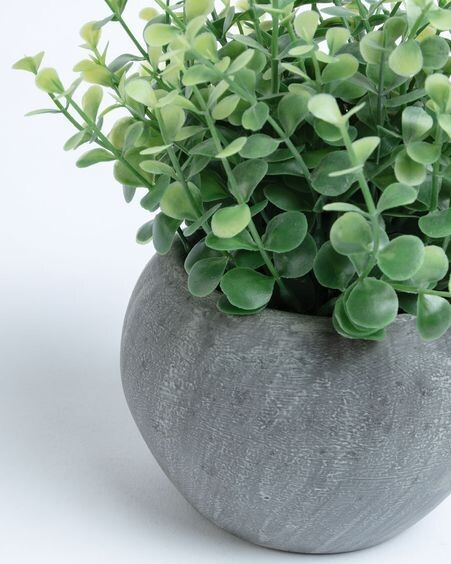 Planta artificial Eucalipto con maceta gris 19 cm
