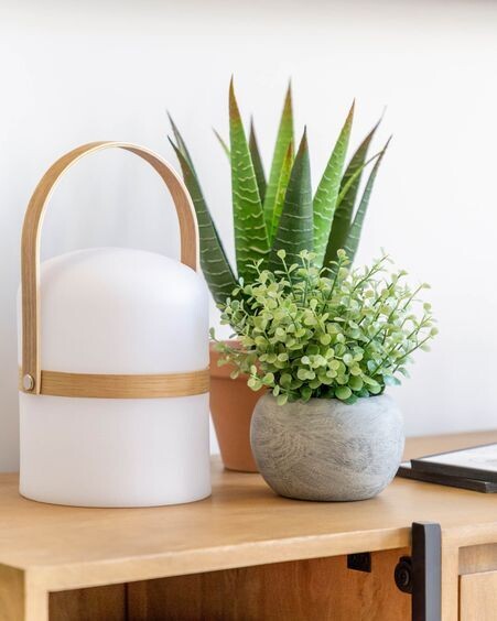 Planta artificial Eucalipto con maceta gris 19 cm