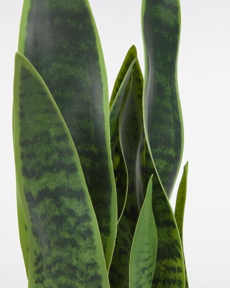 Planta artificial Sansevieria con maceta blanco 55 cm