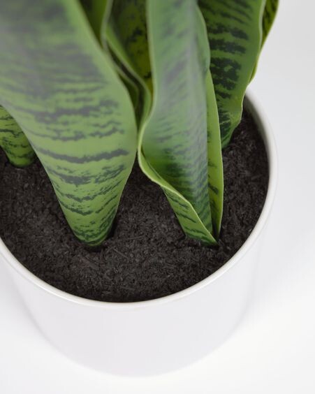 Planta artificial Sansevieria con maceta blanco 55 cm