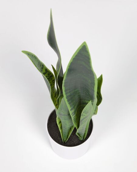 Planta artificial Sansevieria con maceta blanco 55 cm