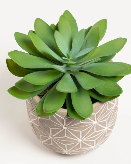 Planta artificial Cactus con maceta de cemento 17 cm