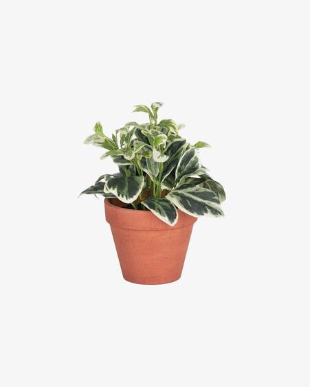 Planta artificial Aucuba con maceta marrón 22 cm
