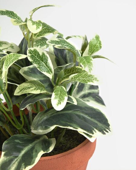 Planta artificial Aucuba con maceta marrón 22 cm
