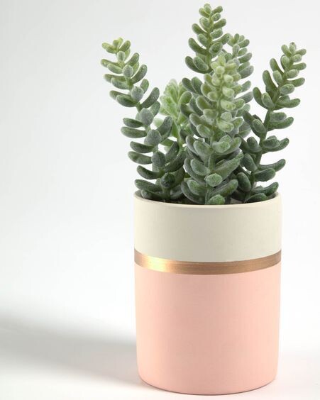 Planta artificial Sedum lucidum con maceta de cerámica rosa 19 cm