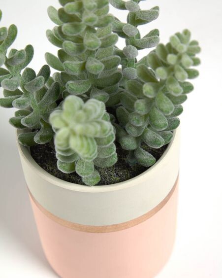 Planta artificial Sedum lucidum con maceta de cerámica rosa 19 cm