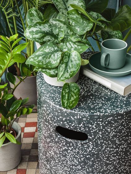 Taza de café con plato Shun de porcelana verde