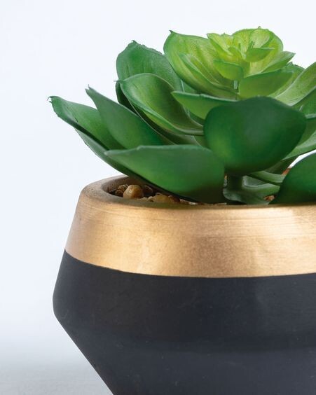 Planta artificial Consolva con maceta de cerámica negro y dorado 10 cm