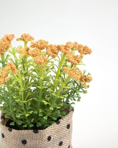 Planta artificial Leonitis leonurus con maceta de rafia 13 cm