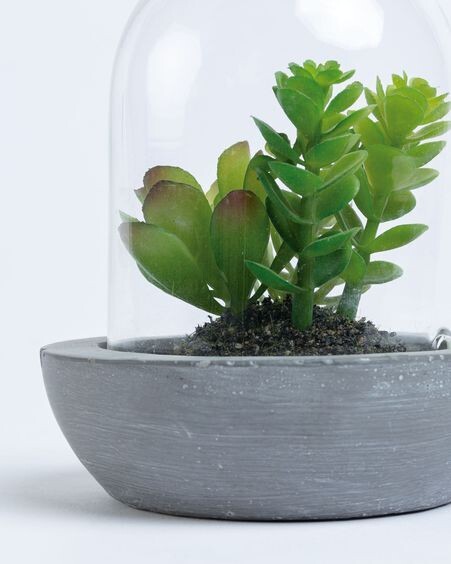 Mix Suculenta artificial con maceta de cerámica y cristal 13 cm