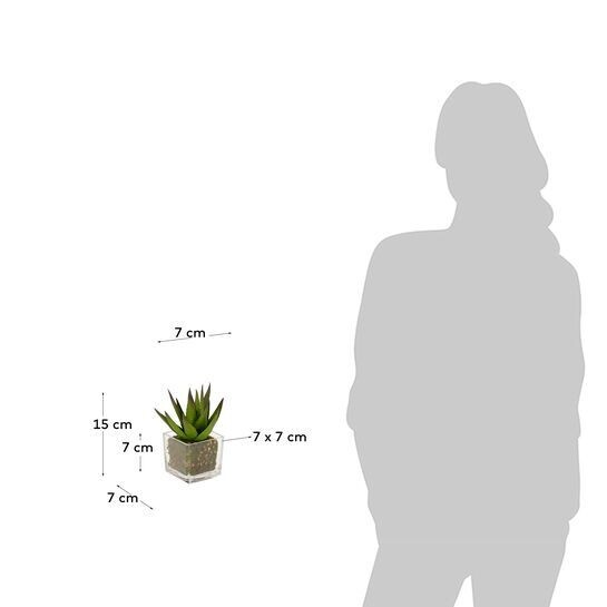 Planta artificial Hawortia con maceta de cristal 15 cm