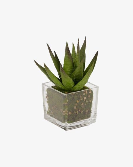Planta artificial Hawortia con maceta de cristal 15 cm